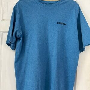 Patagonia Men's Short Sleeve Tee in Blue